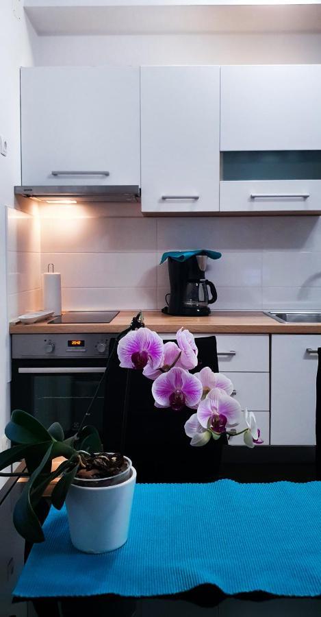 Radenka Zafron Apartment Водице Екстериор снимка